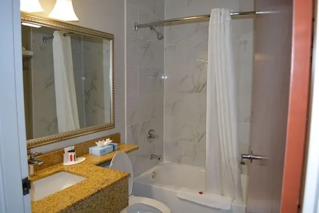 Microtel Inn & Suites by Wyndham BWI Airport Balt - Havuz