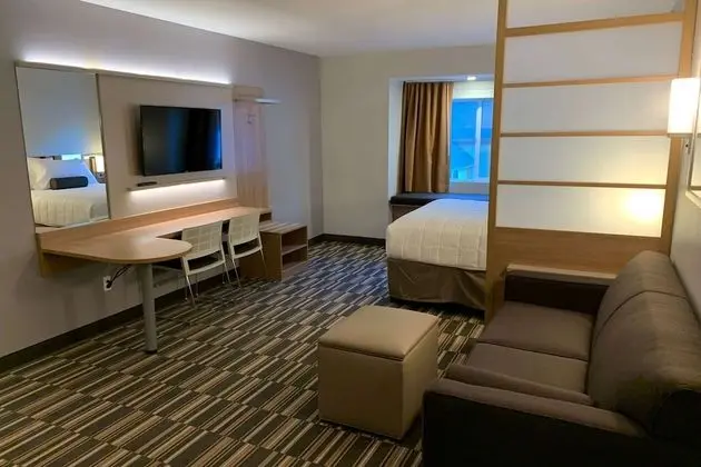 Microtel Inn & Suites by Wyndham Georgetown Lake - Oda