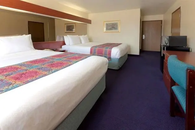 MICROTEL INN & SUITES BY WYNDHAM MESQUITE/DALLAS 