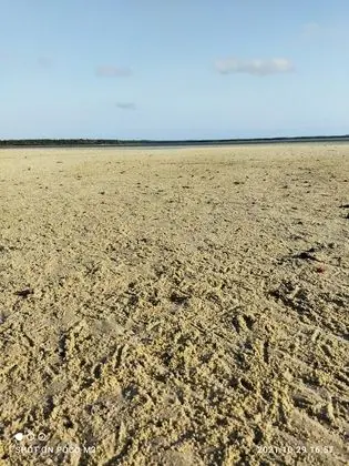 Mida Creek Eco Camp - Eco Lodge - Plaj