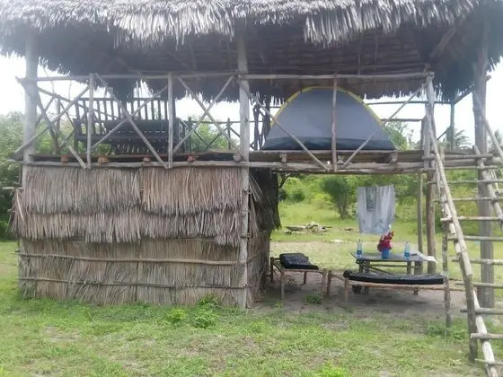 Mida Creek Nature Camp