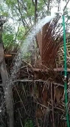 Mida Creek Nature Camp - Dış Mekan