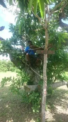 Mida Creek Nature Camp - Lobi