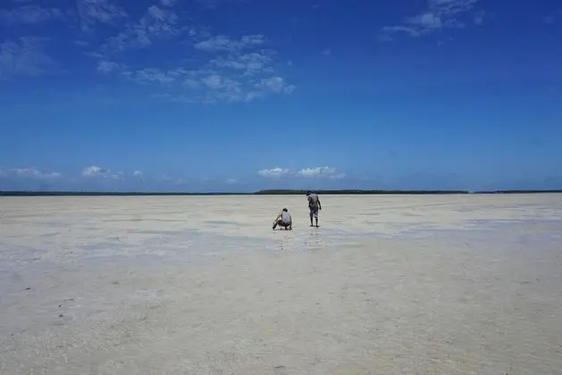 Mida Creek Nature Camp - Plaj