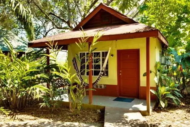 Midas Belize