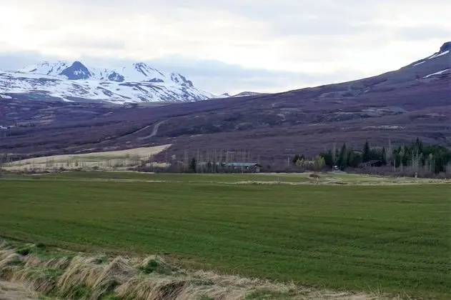 Miðdalskot Cottages - Dış Mekan