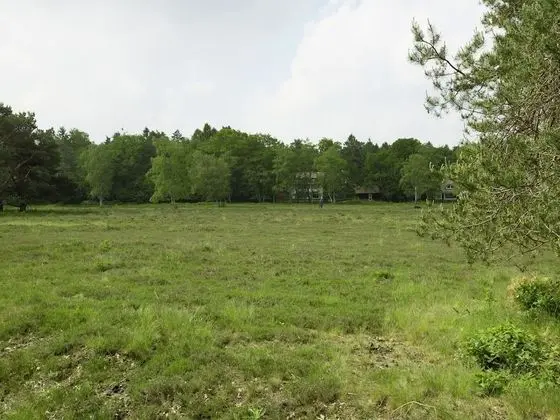 In the Middle of the Gooise Landscape, Directly on the Fields
