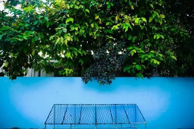 Midsummer Thulusdhoo - Havuz