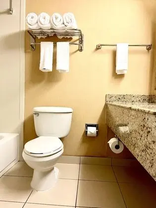Midtown Garden Phoenix Hotel - Banyo Tipleri