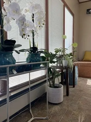 Midtown Inn & Suites - Dış Mekan