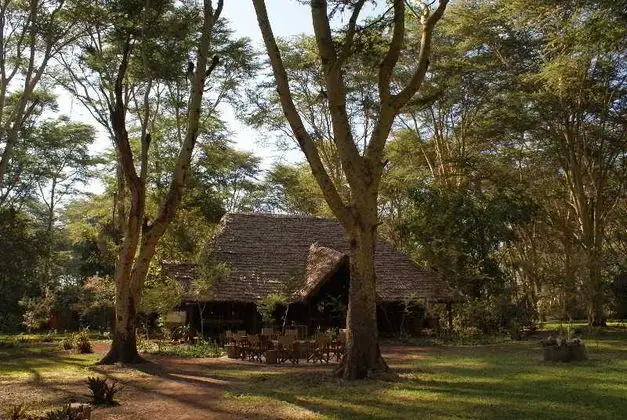 Migunga Tented Camp - Lake Manyara - Lobi