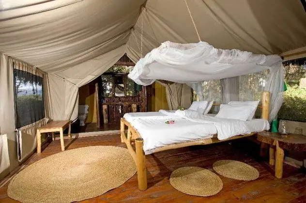 Migunga Tented Camp - Lake Manyara - Oda