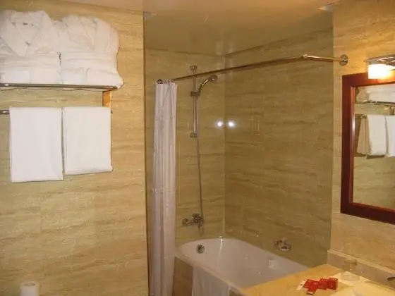 Mihad Hotel - Banyo Tipleri