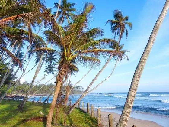 Mihiri Beach House - Plaj