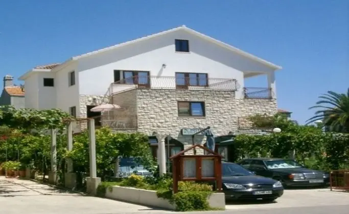 Miho - SA1