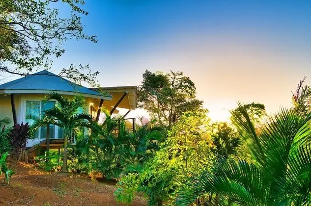 Mikado Natural Lodge - Dış Mekan