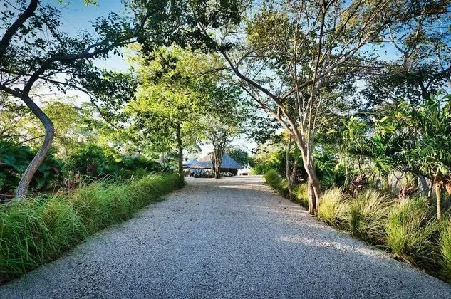 Mikado Natural Lodge - Lobi