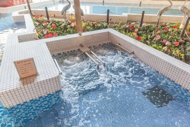 Mikazuki Sea-Park Hotel Awa Kamogawa - Spa