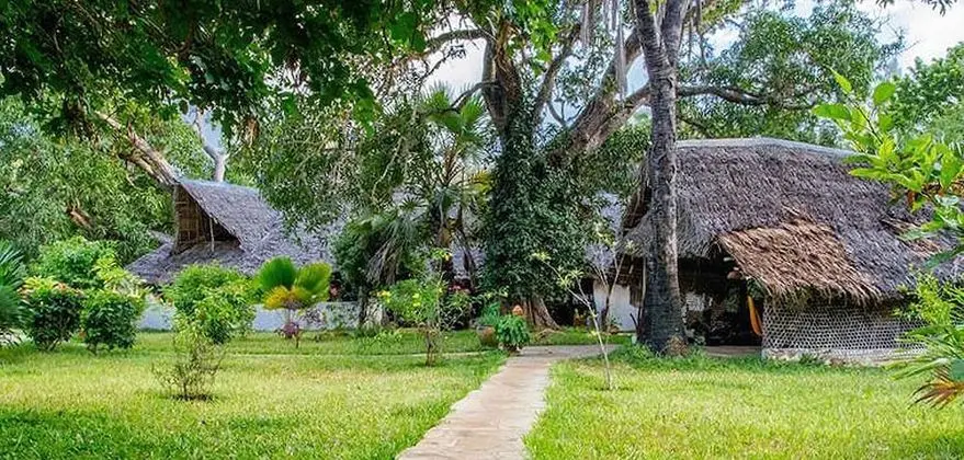 Mikoko Cove Ecolodge - Dış Mekan
