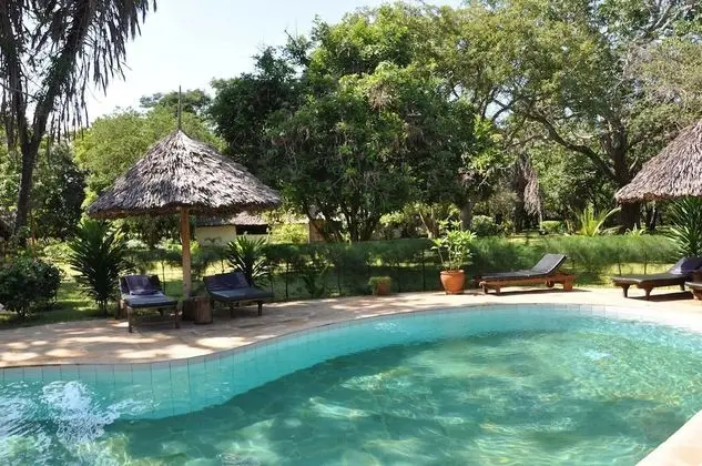 Mikoko Cove Ecolodge - Havuz