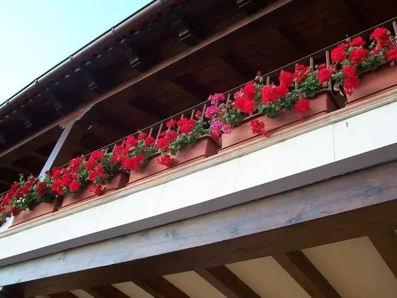 Milagros Rio Riaza - Dış Mekan