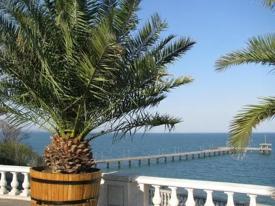 Hotel Milano - Havuz