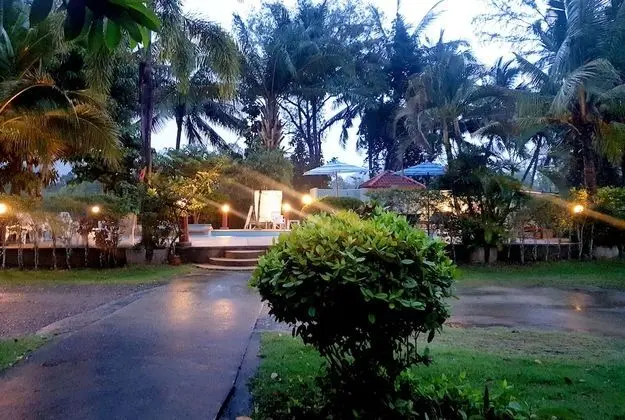 Mild Garden View Resort - Havuz