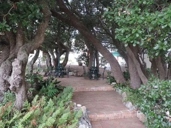 Milkwood Lodge - Hermanus - Dış Mekan