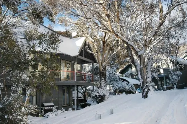 Milkwood