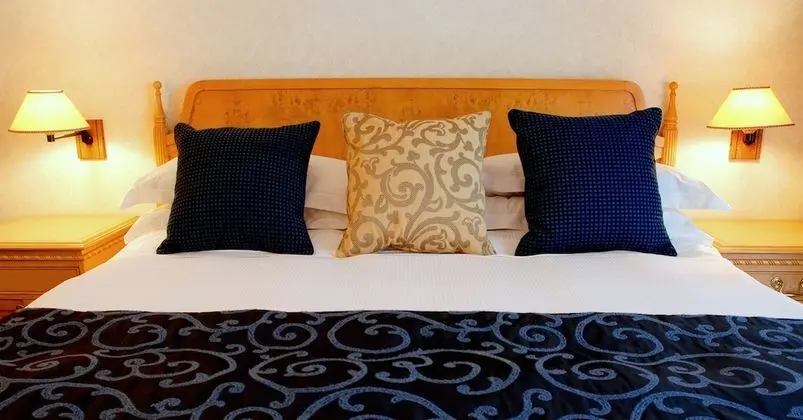 Millennium Plaza Downtown Hotel - Oda
