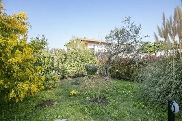Villa Mimosa Appartamento 5 - Dış Mekan