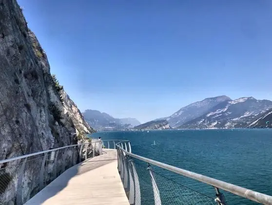 Mimosa Child and pet Friendly - Dış Mekan
