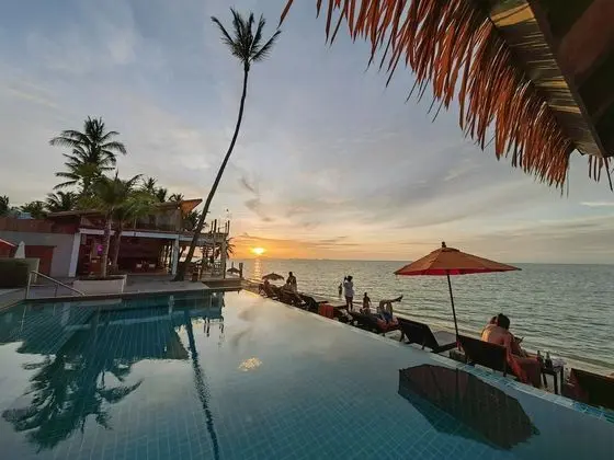 Mimosa Resort & Spa - Havuz