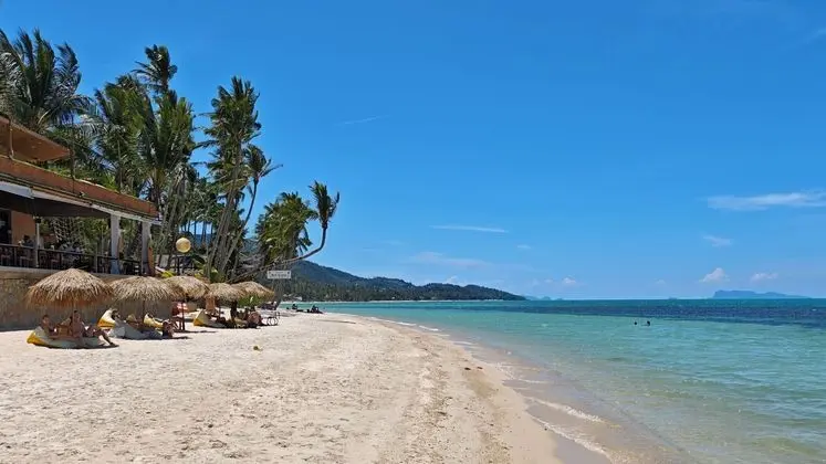 Mimosa Resort & Spa - Plaj