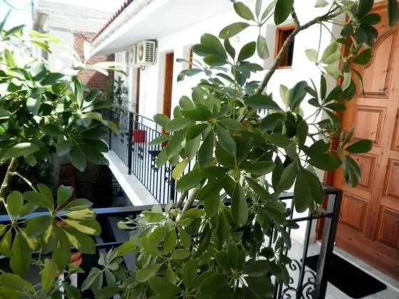 Mimoza Studios - Dış Mekan