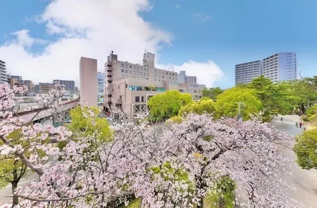MINAMISENRI Crystal Hotel