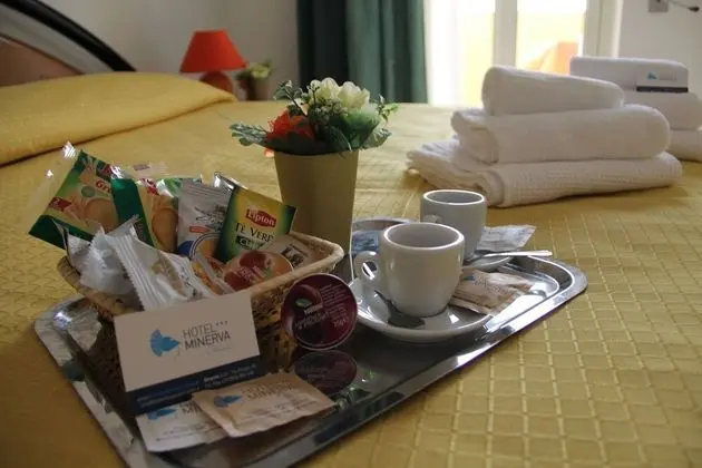 Hotel Minerva - Oda
