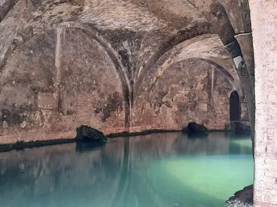 Hotel Minerva - Dış Mekan