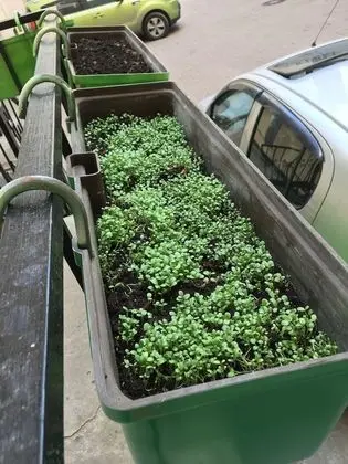 Mini-Hotel Clever - Öne Çıkan Resim