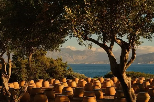 Minos Palace Hotel & Suites - Dış Mekan