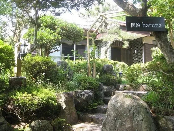 Minpaku haruna