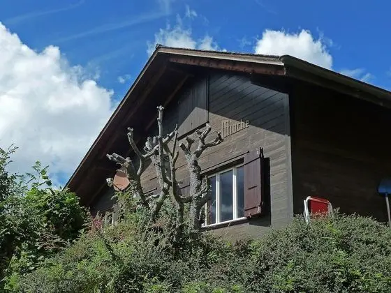 Mioche Lauterbrunnen - Oda