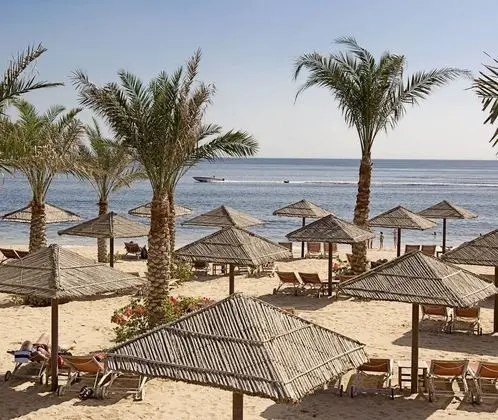 Miramar Al Aqah Beach Resort Fujairah - Plaj