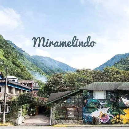 Miramelindo Spa Hotel - 1