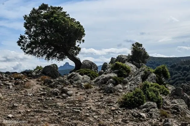 Hotel Miramonti, Turismo Rurale - Dış Mekan