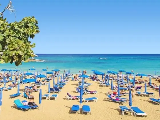 Mirella Paralimni in Paralimni - Oda
