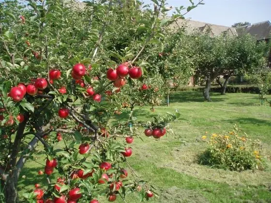 The Mirfield Monastery - Dış Mekan