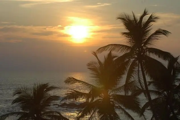 Mirissa Beach Inn - Plaj