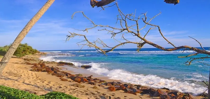 Mirissa Beach Villa - Plaj