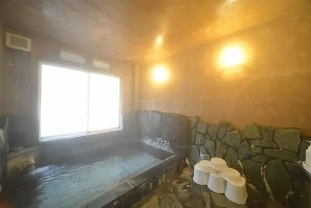 Misasa Onsen Misasa Garden Hotel - Havuz